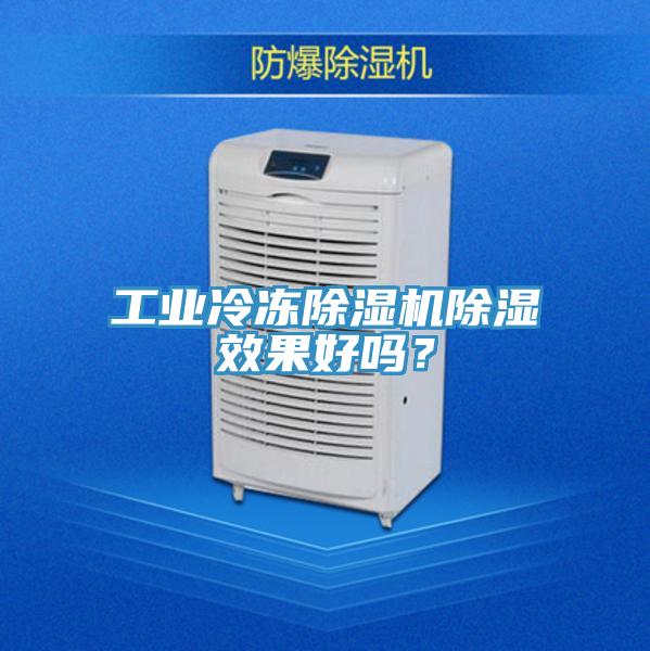 工業冷凍草莓污视频在线看除濕效果好嗎？