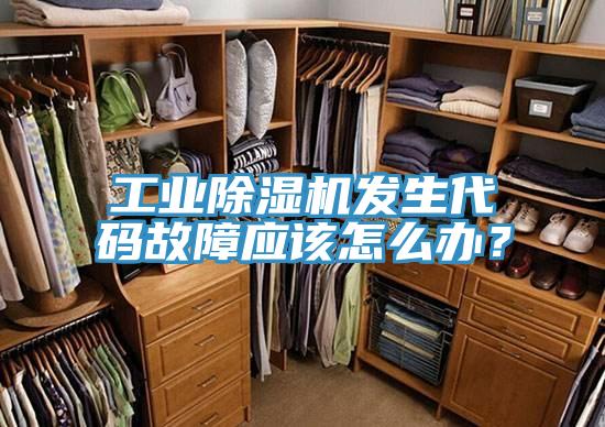 工業草莓污视频在线看發生代碼故障應該怎麽辦？