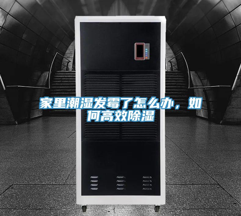 家裏潮濕發黴了怎麽辦，如何高效除濕