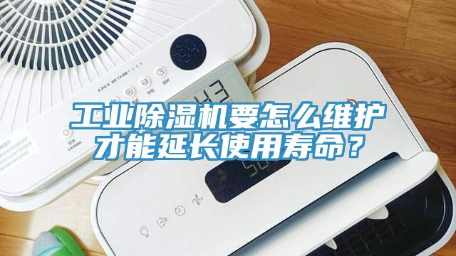 工業草莓污视频在线看要怎麽維護才能延長使用壽命？