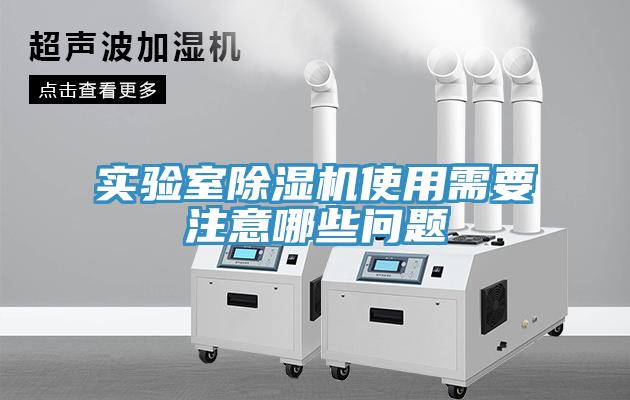 實驗室草莓污视频在线看使用需要注意哪些問題