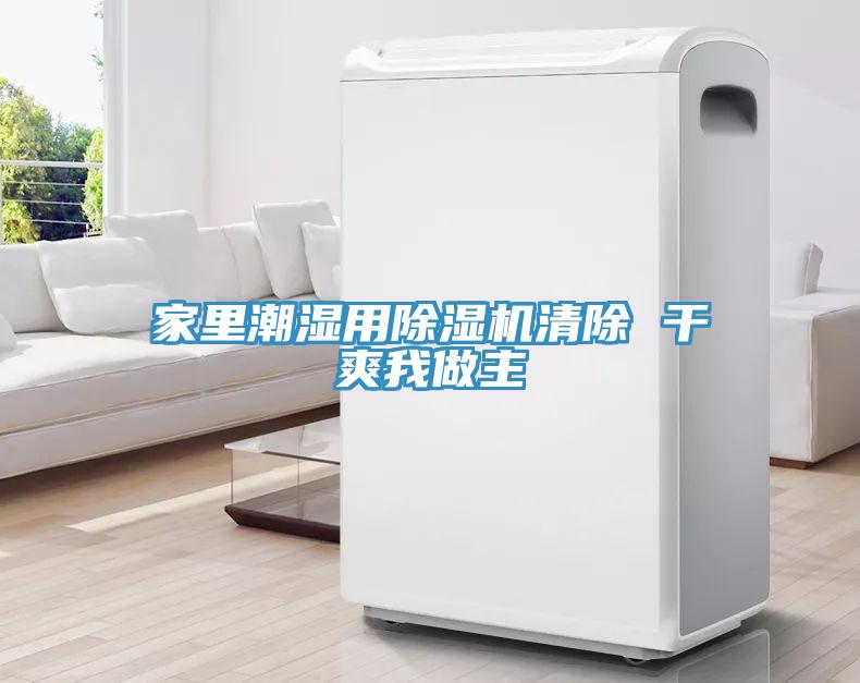 家裏潮濕用草莓污视频在线看清除 幹爽我做主