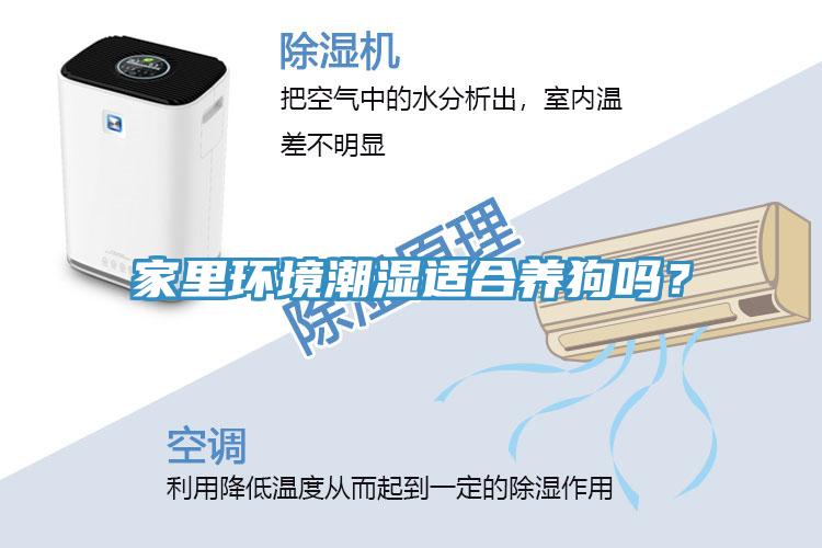 家裏環境潮濕適合養狗嗎？