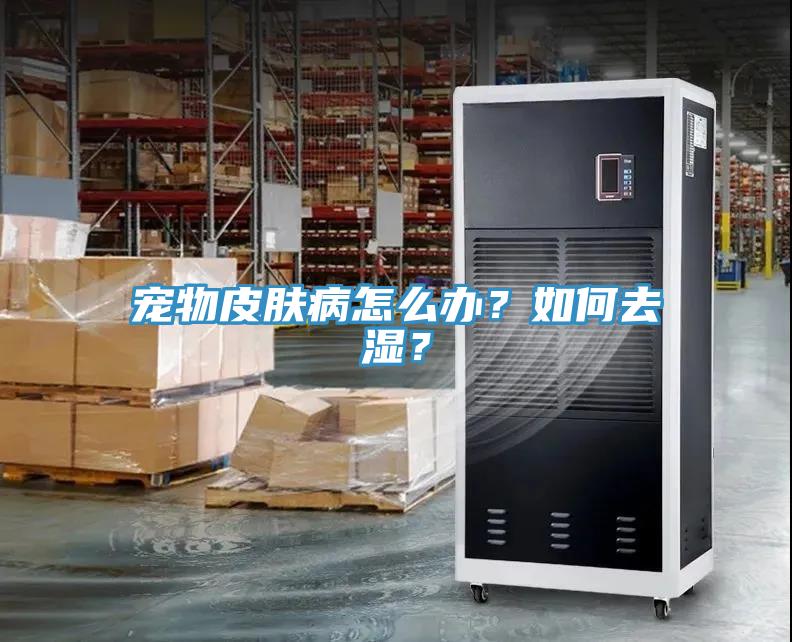寵物皮膚病怎麽辦？如何去濕？
