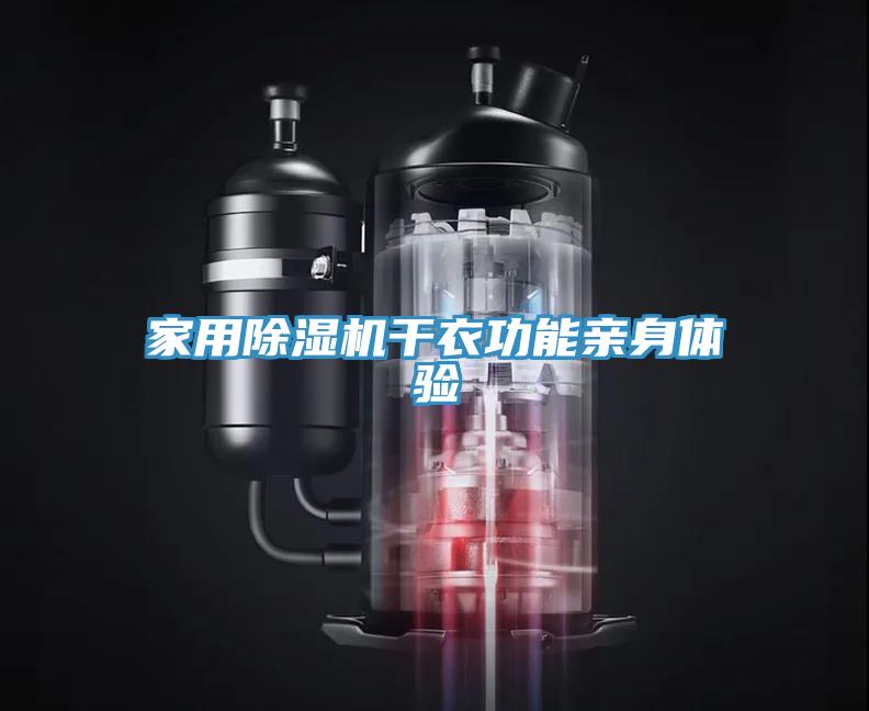 家用草莓污视频在线看幹衣功能親身體驗