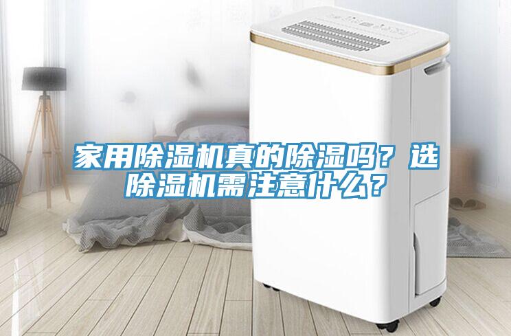家用草莓污视频在线看真的除濕嗎？選草莓污视频在线看需注意什麽？