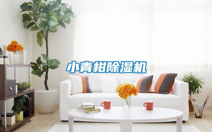 小青柑草莓污视频在线看