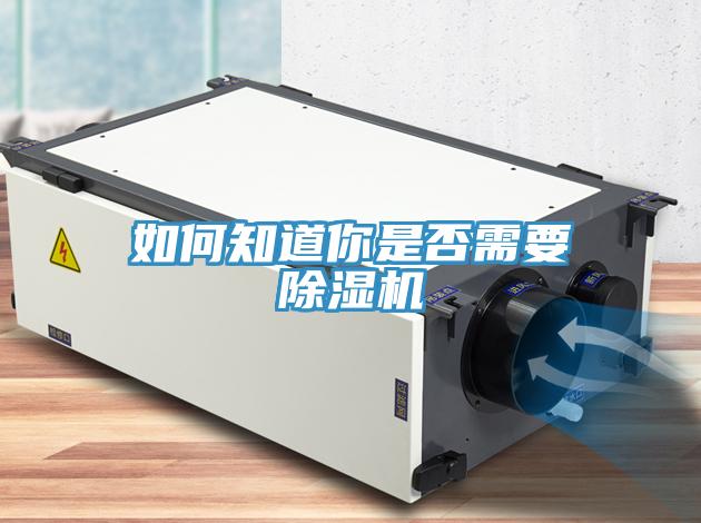 如何知道你是否需要草莓污视频在线看