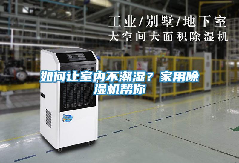 如何讓室內不潮濕？家用草莓污视频在线看幫你
