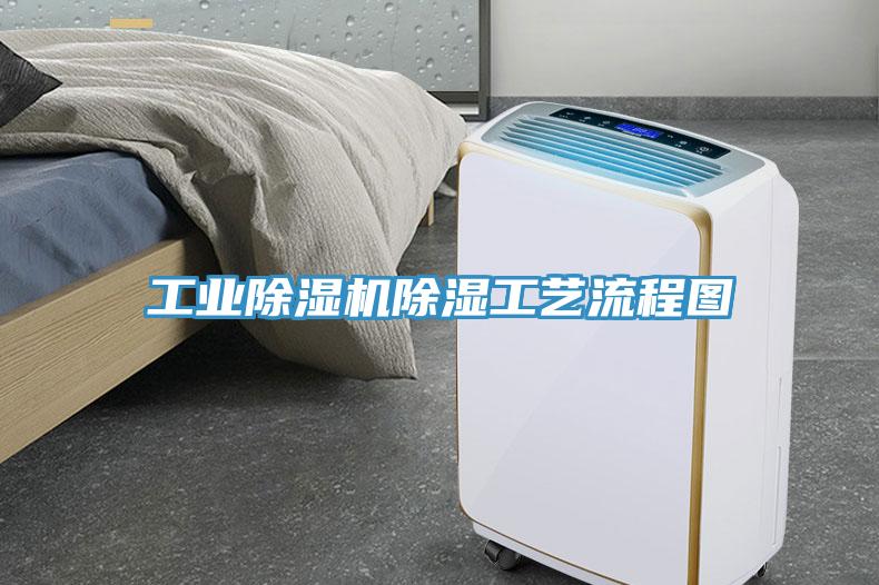 工業草莓污视频在线看除濕工藝流程圖