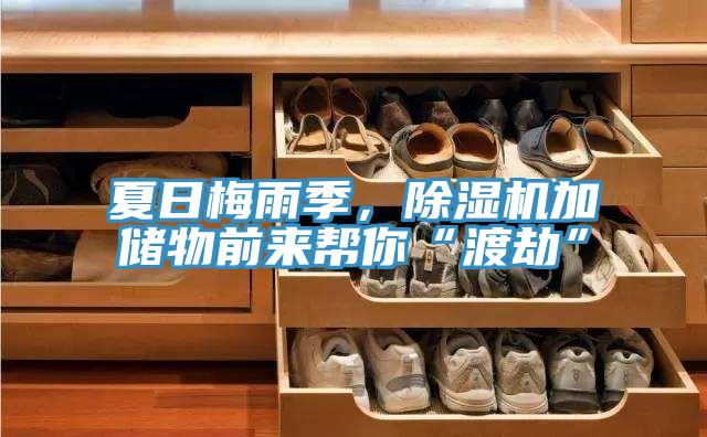 夏日梅雨季，草莓污视频在线看加儲物前來幫你“渡劫”