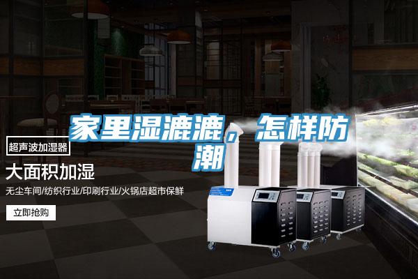 家裏濕漉漉，怎樣防潮