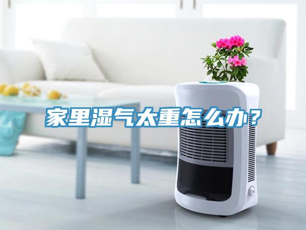 家裏濕氣太重怎麽辦？