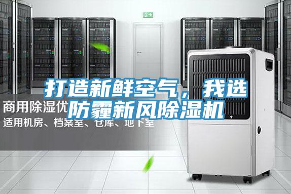 打造新鮮空氣，我選防霾新風草莓污视频在线看