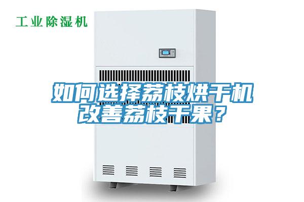 如何選擇荔枝烘幹機改善荔枝幹果？
