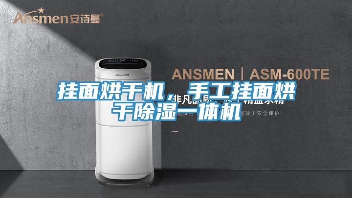 掛麵烘幹機，手工掛麵烘幹除濕一體機