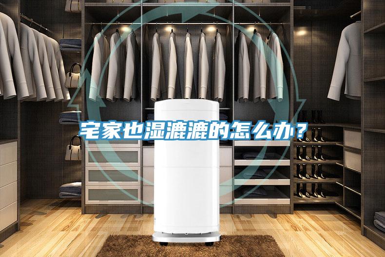 宅家也濕漉漉的怎麽辦？