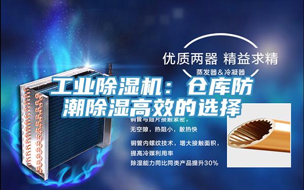 工業草莓污视频在线看：倉庫防潮除濕高效的選擇