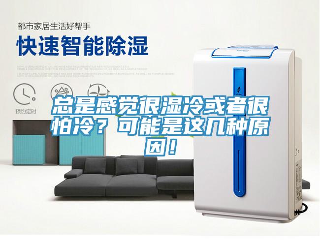 總是感覺很濕冷或者很怕冷？可能是這幾種原因！