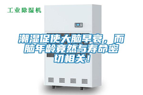 潮濕促使大腦早衰，而腦年齡竟然與壽命密切相關！