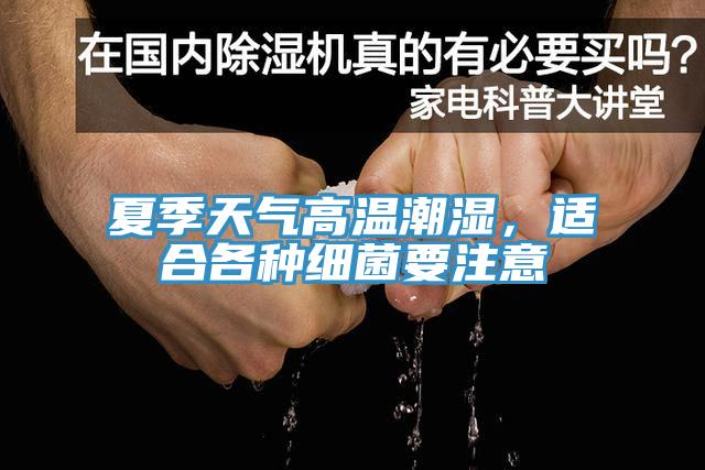 夏季天氣高溫潮濕，適合各種細菌要注意