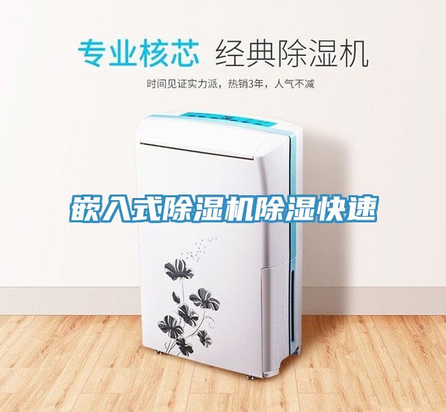 嵌入式草莓污视频在线看除濕快速