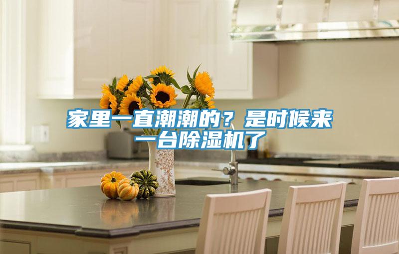 家裏一直潮潮的？是時候來一台草莓污视频在线看了