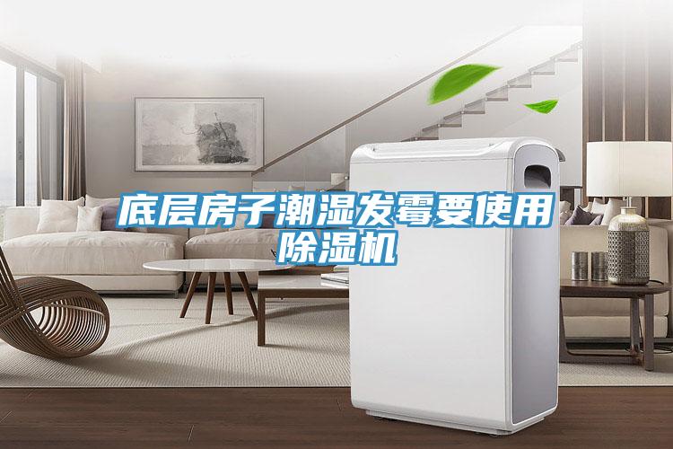 底層房子潮濕發黴要使用草莓污视频在线看