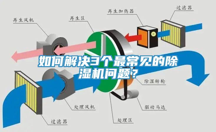 如何解決3個最常見的草莓污视频在线看問題？