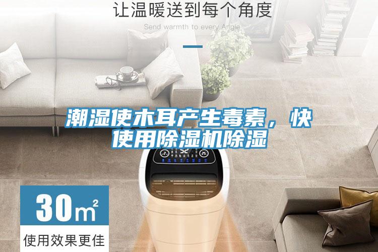 潮濕使木耳產生毒素，快使用草莓污视频在线看除濕