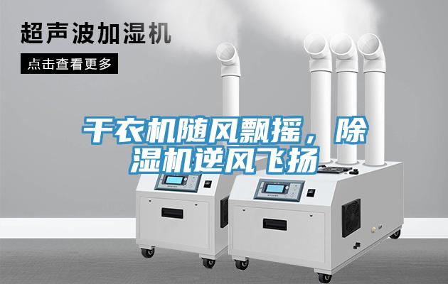 幹衣機隨風飄搖，草莓污视频在线看逆風飛揚
