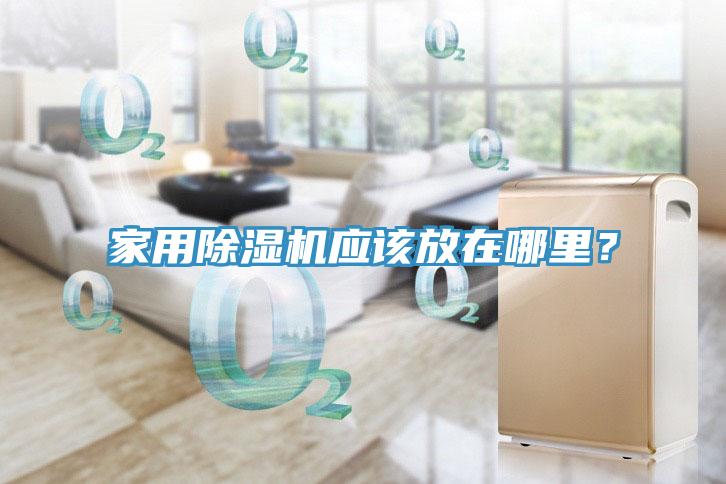 家用草莓污视频在线看應該放在哪裏？