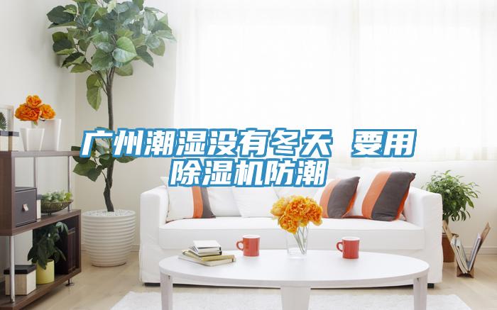 廣州潮濕沒有冬天 要用草莓污视频在线看防潮