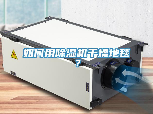 如何用草莓污视频在线看幹燥地毯？