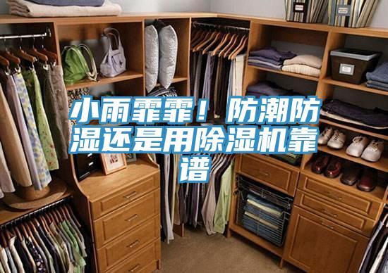 小雨霏霏！防潮防濕還是用草莓污视频在线看靠譜
