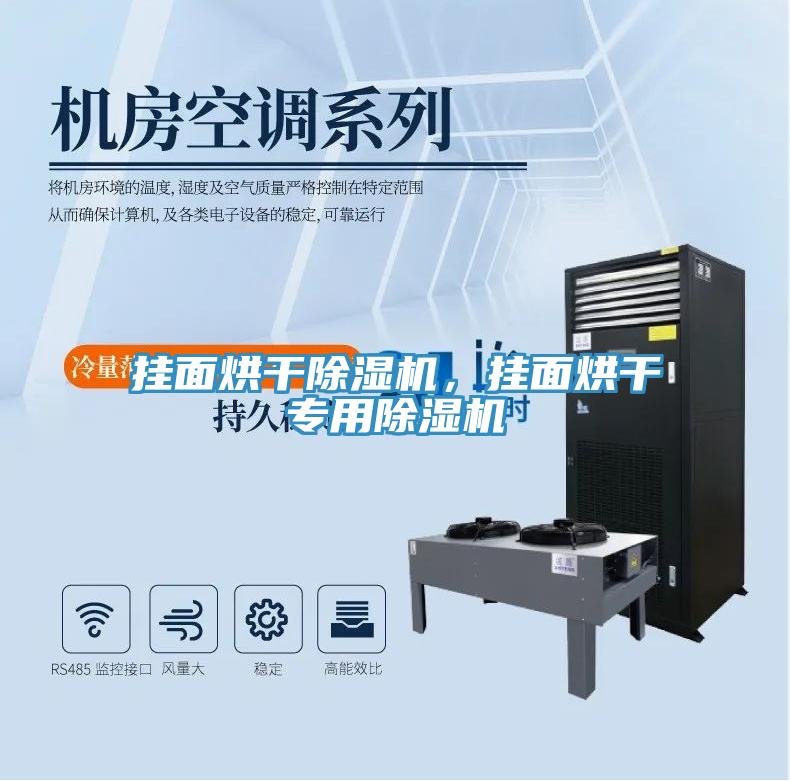 掛麵烘幹草莓污视频在线看，掛麵烘幹專用草莓污视频在线看