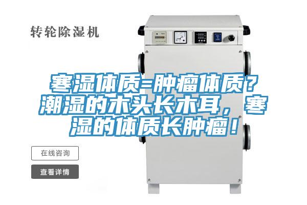 寒濕體質=腫瘤體質？潮濕的木頭長木耳，寒濕的體質長腫瘤！