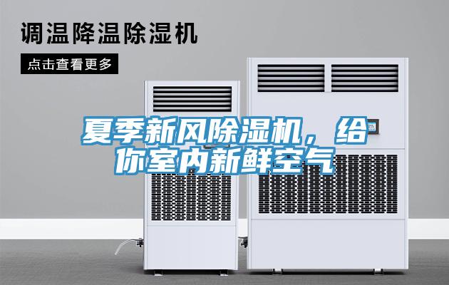 夏季新風草莓污视频在线看，給你室內新鮮空氣