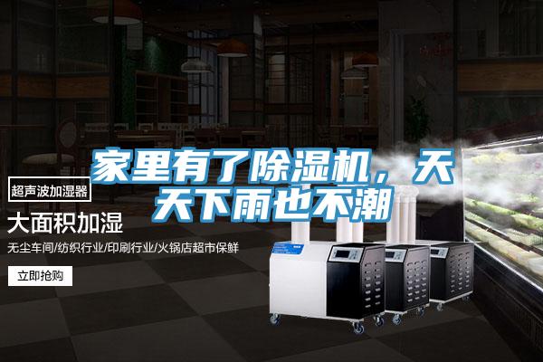 家裏有了草莓污视频在线看，天天下雨也不潮