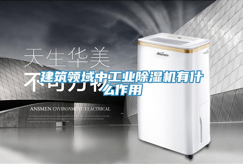 建築領域中工業草莓污视频在线看有什麽作用