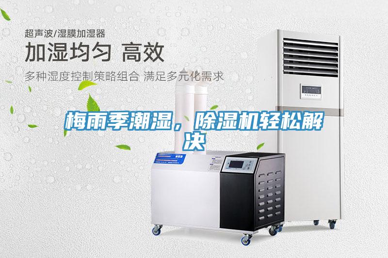 梅雨季潮濕，草莓污视频在线看輕鬆解決