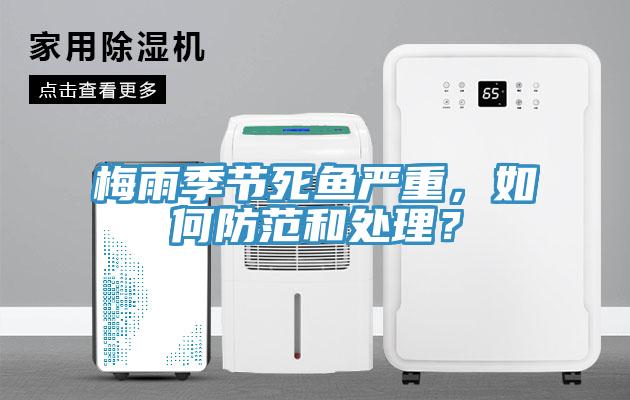 梅雨季節死魚嚴重，如何防範和處理？