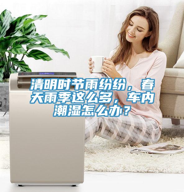 清明時節雨紛紛，春天雨季這麽多，車內潮濕怎麽辦？