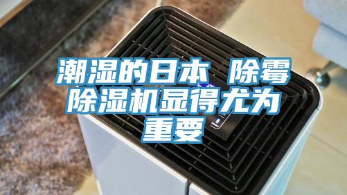 潮濕的日本 除黴草莓污视频在线看顯得尤為重要