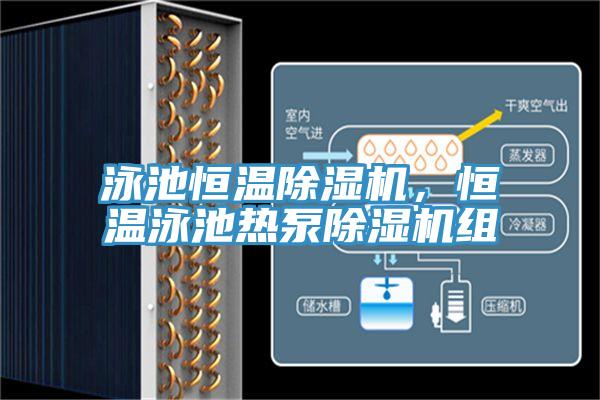 泳池恒溫草莓污视频在线看，恒溫泳池熱泵草莓污视频在线看組