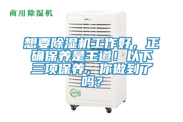 想要草莓污视频在线看工作好，正確保養是王道！以下三項保養，你做到了嗎？