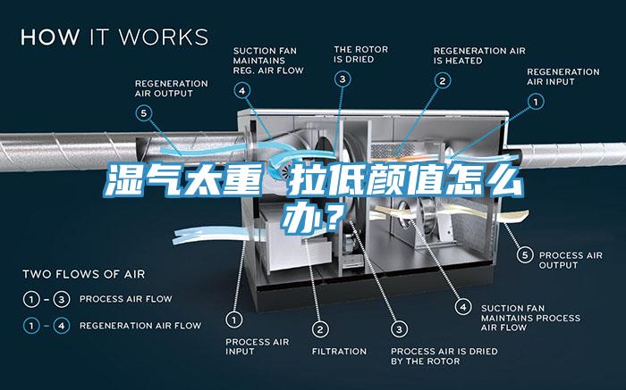 濕氣太重 拉低顏值怎麽辦？