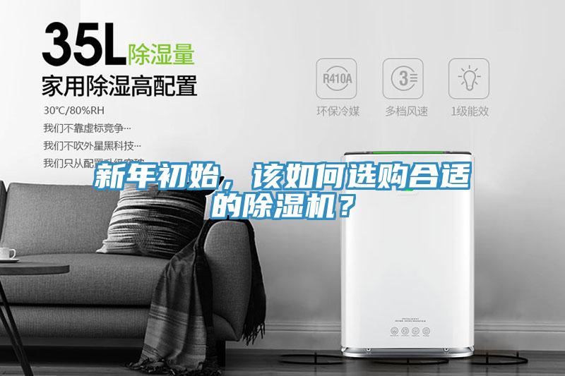 新年初始，該如何選購合適的草莓污视频在线看？