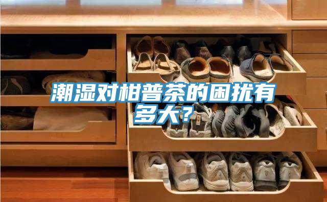 潮濕對柑普茶的困擾有多大？