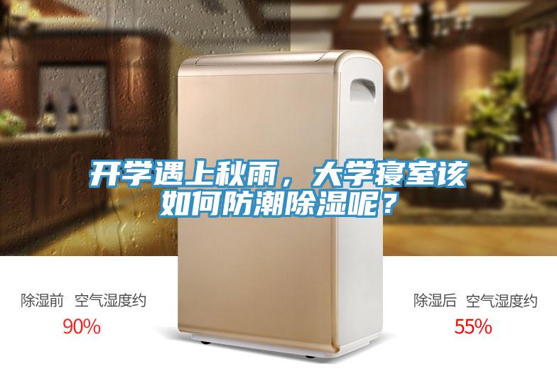 開學遇上秋雨，大學寢室該如何防潮除濕呢？
